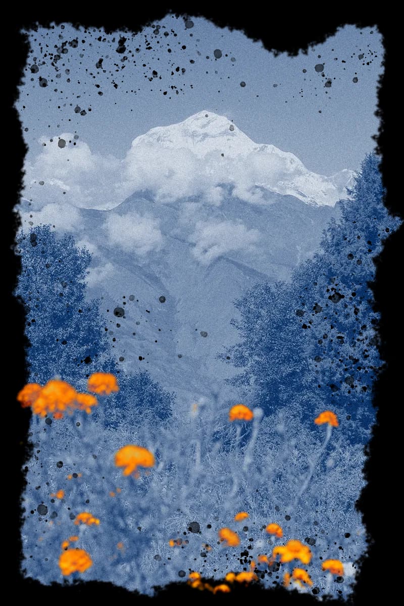 A blue mountain scene with orange alpine flowers
